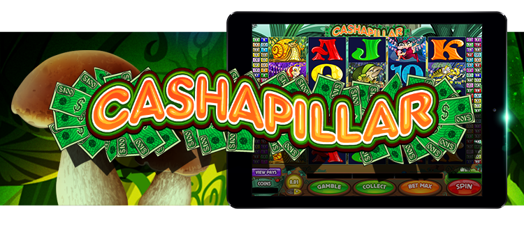 Cashapillar Online Slot Gaming Club Online Casino