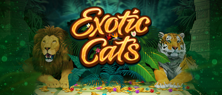 Exotic Cats Online Slot Game Gaming Club Online Casino Mobile