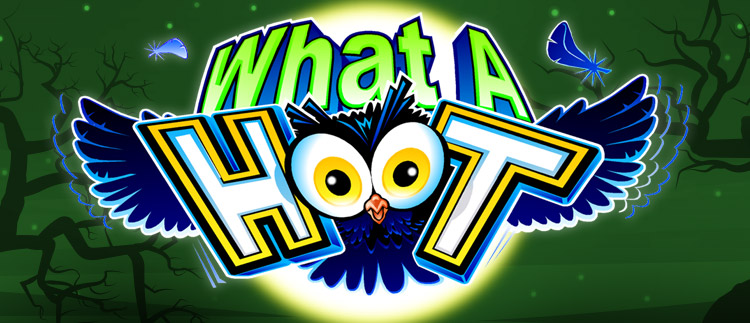 What a Hoot Online Slot Game Gaming Club Casino