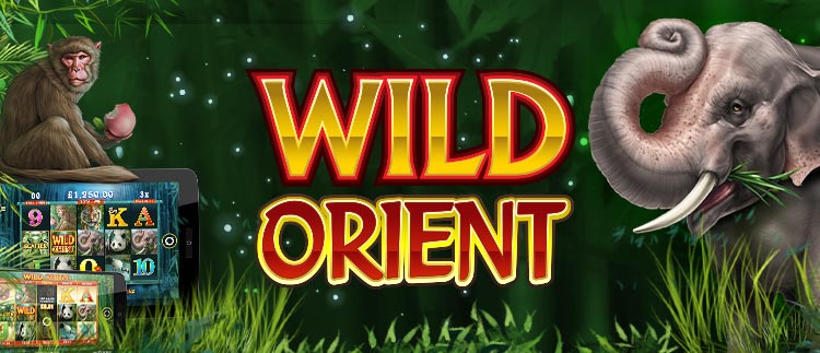 Wild Orient slot