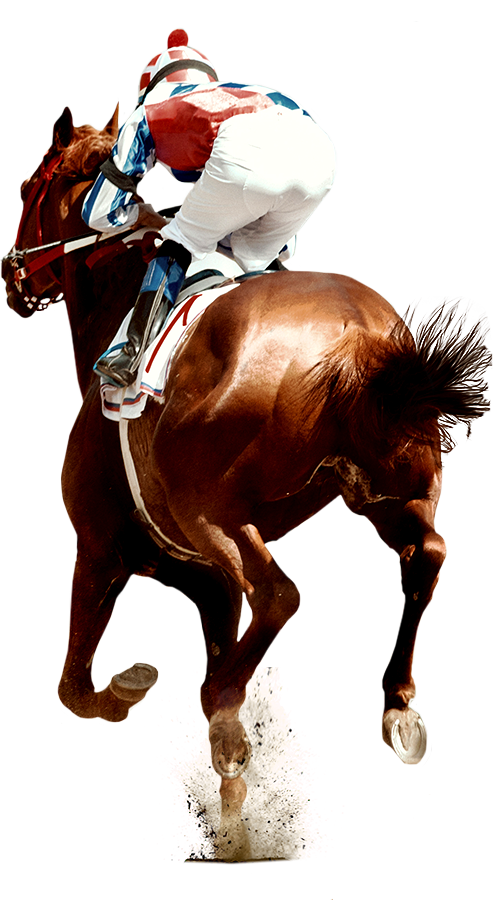 A Short Course In Betting App Download
