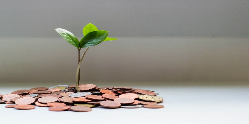 A plant growing from a pile of coins.
