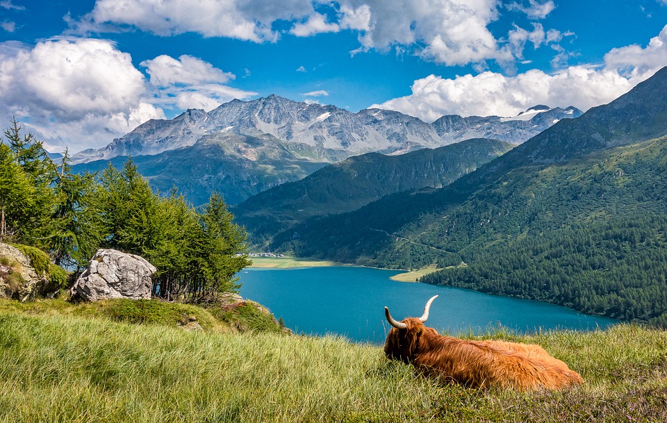 A scenic view of the Swiss Alps.