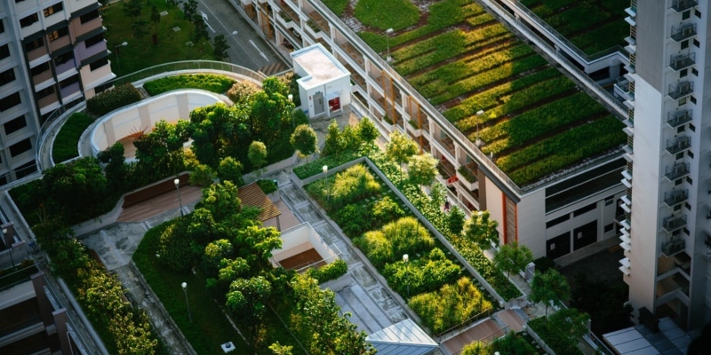 urban gardens can help reduce city air pollution