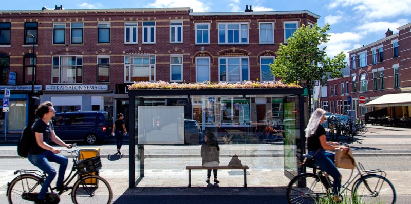 Parada de autobús con 'techo ecológico, en Utrecht, Holanda