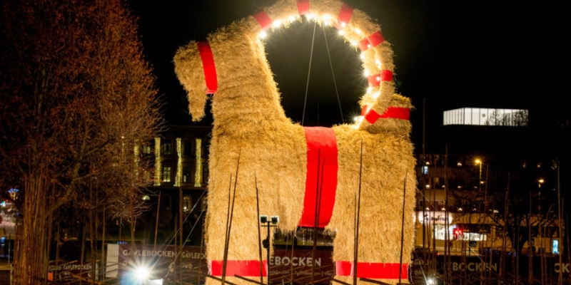 Gävle’s 40-foot goat made of straw stands festive and strong, unaware of its possible fate