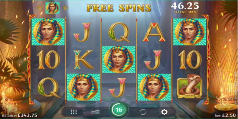 Free Spin Screen