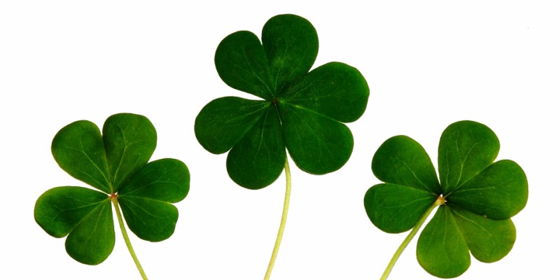 Three clovers