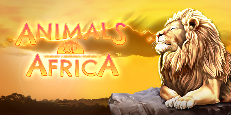 Animals of Africa | Jackpot City Blog