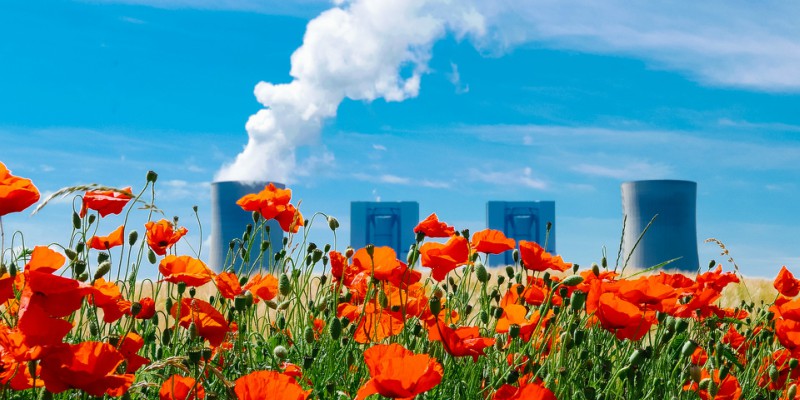 industrial building and flowers