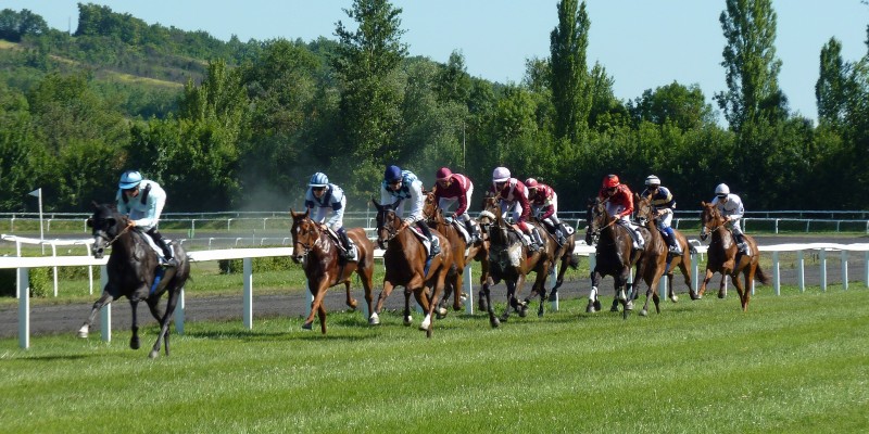 Horse Race