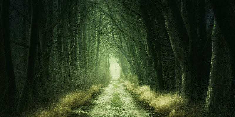 road through a forest