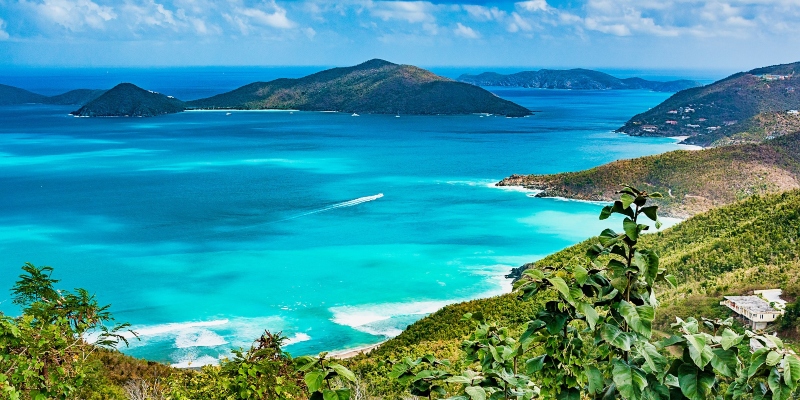 tortola