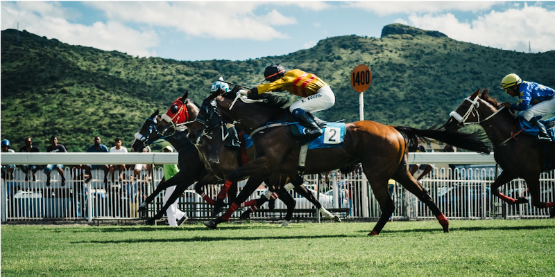 Ruby Fortune Casino: Horse Racing