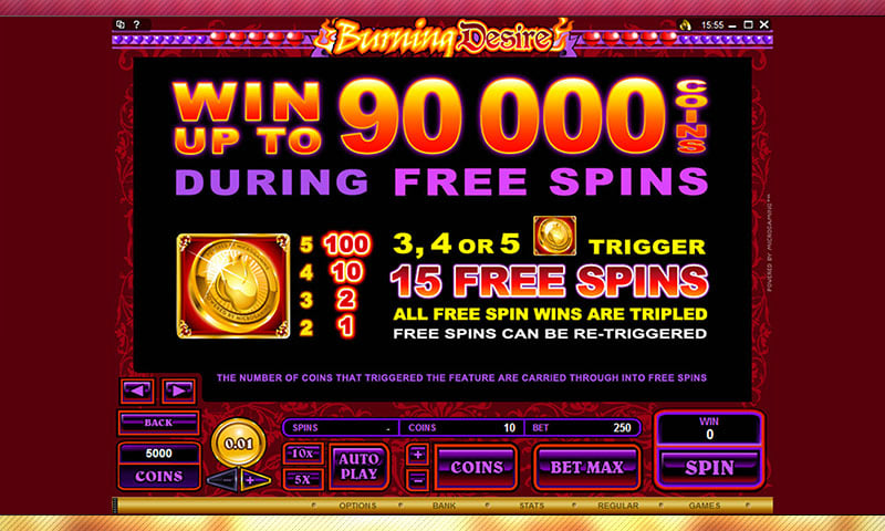 Special Feature: Free Spins