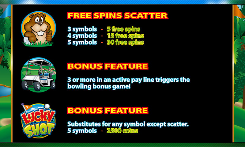 In-Game Bonus Features