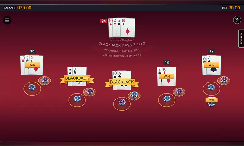 Premier Blackjack with Buster Blackjack™ capture d'écran du jeu