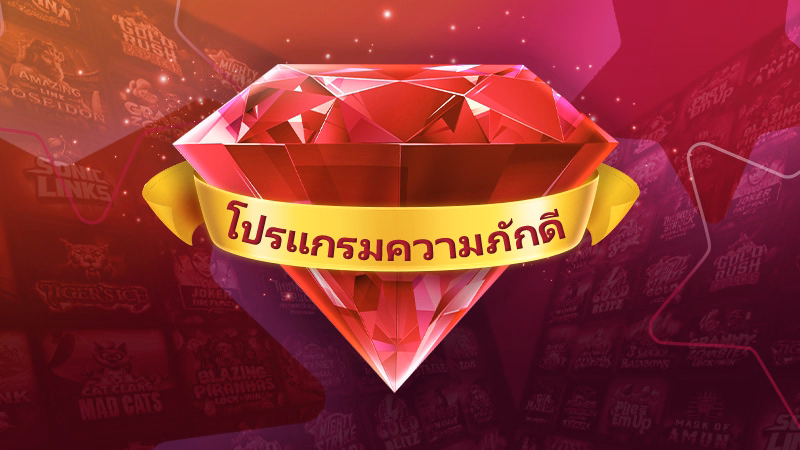 โครงการความพักดีของเรา