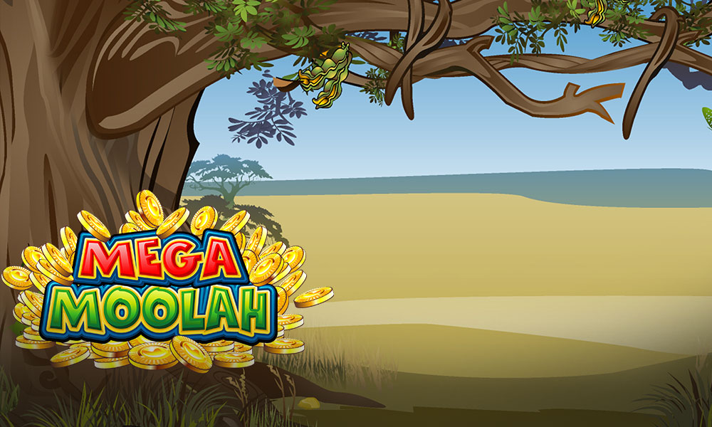 Mega Mooloah logo with beachfront jungle background