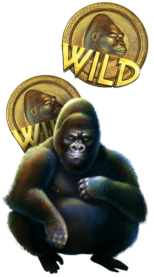 Gorilla with 2 floating gold coins